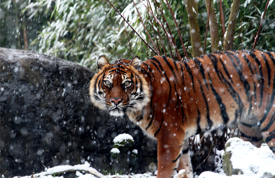 NHA cursus Fotografie Leo Hokke