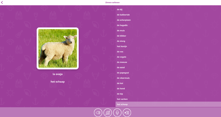 Zinnen oefenen in de spaans leren app