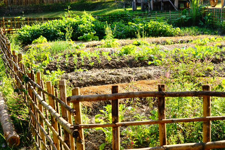 diversiteit bij permacultuur