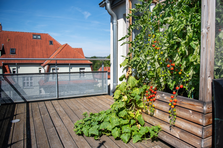 Verticaal moestuinieren