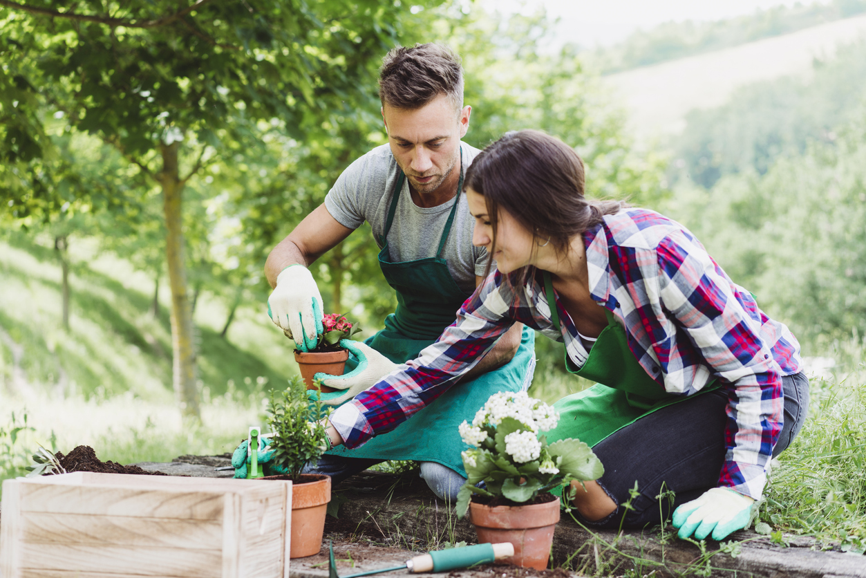 Moestuin indeling met potten en bakken
